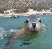 Calypso Star Charters - Pet Food Australia