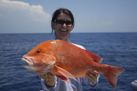 Absolute Ocean Charters - Food Delivery Shop 3