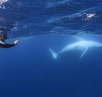 Sunreef Mooloolaba - Pet Food Australia