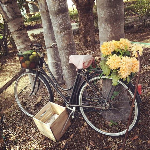 Childers Wine Trail - Food Delivery Shop 12