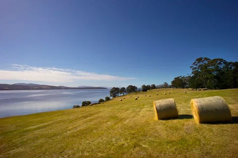 Coast House Tasmania - Food Delivery Shop 4