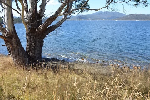 Coast House Tasmania - Food Delivery Shop 8