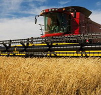 Quirindi Grain and produce - Food Delivery Shop