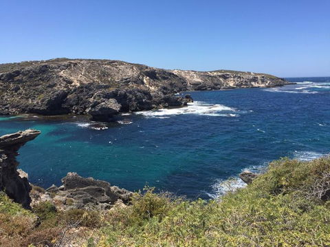 Rottnest Island Tour From Perth Or Fremantle Including Bus Tour - Food Delivery Shop 3