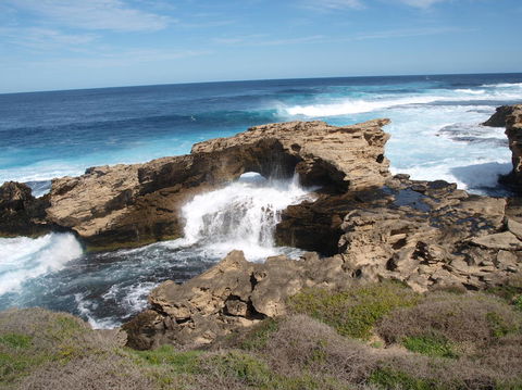 Rottnest Island Tour From Perth Or Fremantle Including Bus Tour - Food Delivery Shop 5