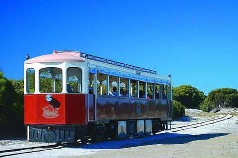 Rottnest Island Grand Tour Including Lunch And Historical Train Ride - Food Delivery Shop 6