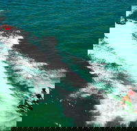 Geraldton Tubing Experience - Food Delivery Shop