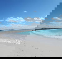 Shipwreck Special Nature Tour/Half Day Tour - Food Delivery Shop