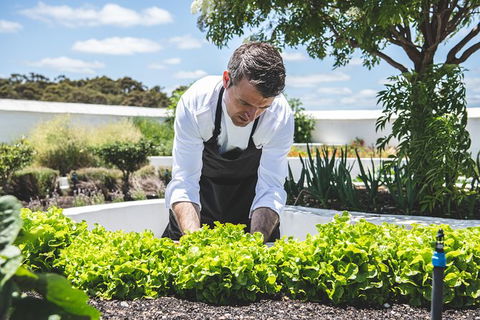 Voyager Estate: Private Winery Tasting Tour In Margaret River With Lunch - Food Delivery Shop 8