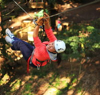 Trees Adventure Lane Poole Park - Treetop  Zipline Experience - Food Delivery Shop
