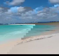 Pink Lake and Abrolhos Full Day Fly and Flipper - Food Delivery Shop