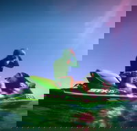 Guided Jet Ski and Snorkel Tour of Champion Bay - Food Delivery Shop