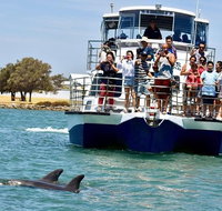 Mandurah Dolphin and Scenic Marine Cruise - Food Delivery Shop