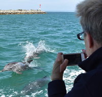 Mandurah Dolphin Island Adventure - Food Delivery Shop