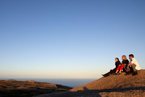 The Gap And Natural Wonders - Food Delivery Shop 4