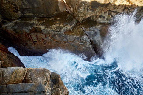 The Gap And Natural Wonders - Food Delivery Shop 6