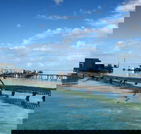 Full Day Guided Abrolhos Fly and Flipper Tour from Geraldton - Food Delivery Shop