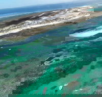 Abrolhos Flyover with Morning Tea on East Wallaby Island - Food Delivery Shop