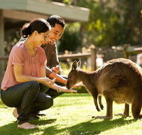 Very Best of Perth Tour - Wildlife Park  City Highlights Tour - Food Delivery Shop