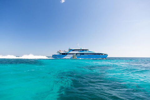 Rottnest Island All-Inclusive Grand Island Tour From Fremantle - Food Delivery Shop 6