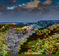 Guided Walks on the Cape to Cape - Wilyabrup Cliffs - Food Delivery Shop