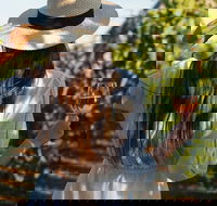 7 Hour Full Day Tour Morning Tea Chocolate Olives 3 Wineries  Lunch - Food Delivery Shop