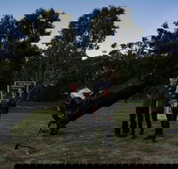 Dusk to Dawn Astronomy Margaret River - Food Delivery Shop