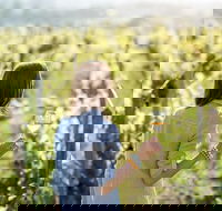 5 Hours Wineries Coffee Tasting Forest  Lunch at the Berry Farm - Food Delivery Shop