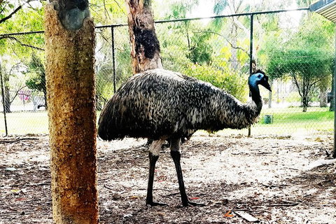 Swan Valley Tour - Food Delivery Shop 9