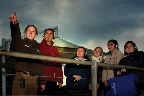 Phillip Island Penguin Parade Express Tour From Melbourne - Food Delivery Shop 4