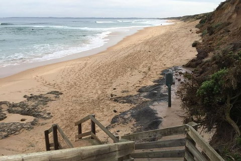 Phillip Island Walking & Bird Watching Tour - Food Delivery Shop 3