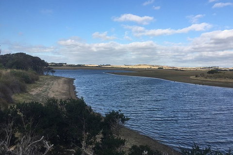 Phillip Island Walking & Bird Watching Tour - Food Delivery Shop 7