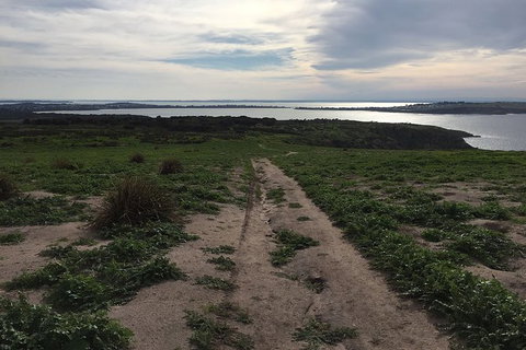 Phillip Island Walking & Bird Watching Tour - Food Delivery Shop 4