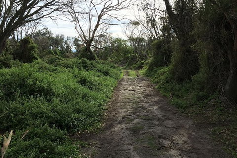Phillip Island Walking & Bird Watching Tour - Food Delivery Shop 10