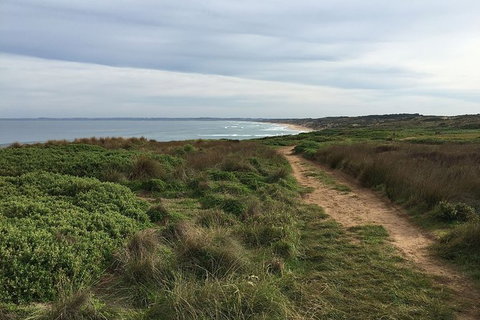Phillip Island Walking & Bird Watching Tour - Food Delivery Shop 5