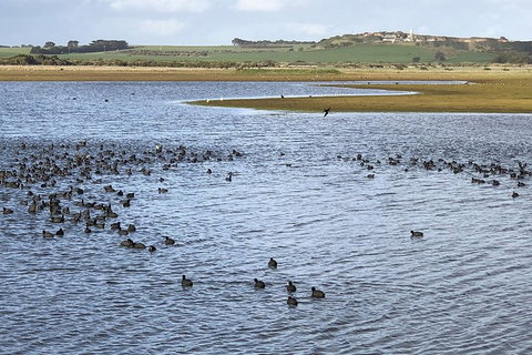 Phillip Island Walking & Bird Watching Tour - Food Delivery Shop 6