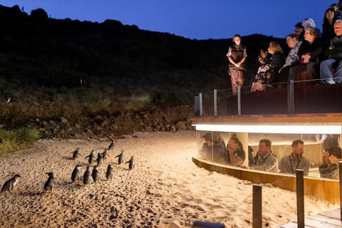Private Phillip Island Day Trip From Melbourne Including Penguin Parade Premium Viewing - Food Delivery Shop 1