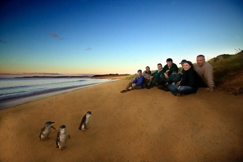 Private Phillip Island Day Trip From Melbourne Including Penguin Parade Premium Viewing - Food Delivery Shop 0