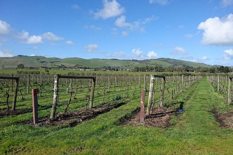 Phillip Island Wine Experience Tour - Food Delivery Shop 4