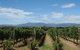 The Ultimate Yarra Valley Food And Wine Small Group Tour (Max 6 Guests) - thumb 7