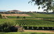 The Ultimate Yarra Valley Food And Wine Small Group Tour (Max 6 Guests) - thumb 25