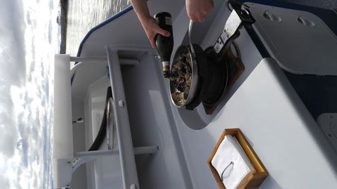 Fresh From The Ocean: Tasmanian Seafood Gourmet Full-Day Cruise Including Lunch - Food Delivery Shop 9