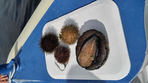 Fresh From The Ocean: Tasmanian Seafood Gourmet Full-Day Cruise Including Lunch - Food Delivery Shop 6