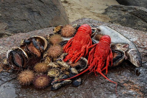 Fresh From The Ocean: Tasmanian Seafood Gourmet Full-Day Cruise Including Lunch - Food Delivery Shop 16