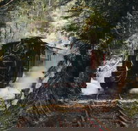 West Coast Wilderness Railway River and Rainforest from Strahan - Food Delivery Shop