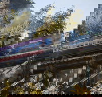 West Coast Wilderness Railway Queenstown Explorer from Strahan - Food Delivery Shop