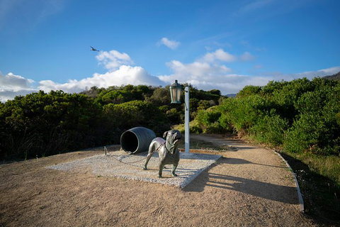 Cruise Ship Special From Port Arthur: Explore Tasman Peninsula With Free WiFi - Food Delivery Shop 9
