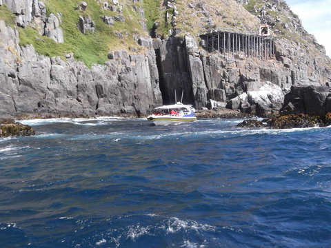 Day Trip To Tasman Peninsula And Port Arthur Historic Site From Hobart - Food Delivery Shop 5