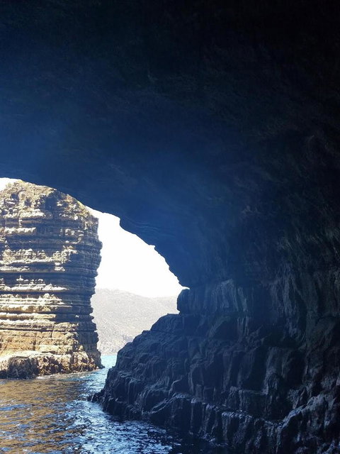 Day Trip To Tasman Peninsula And Port Arthur Historic Site From Hobart - Food Delivery Shop 4