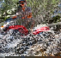Quad Bike 2-Hour Adventure Freycinet National Park - Food Delivery Shop